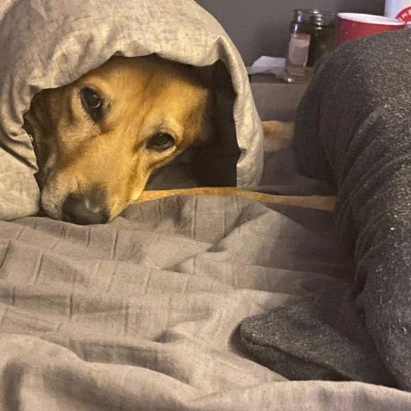 Meet your Posher, Michael - Picture 1 of 1